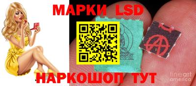крисы Будённовск