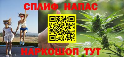 крисы Будённовск